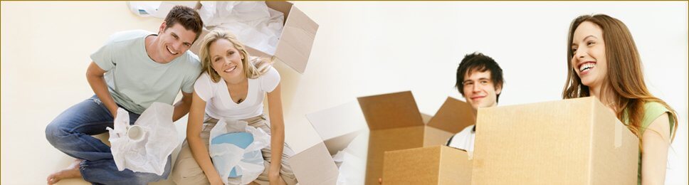 APL India packers movers in kolkata