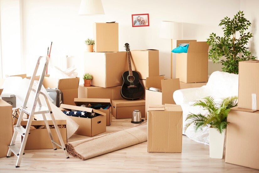 Professional Packers and Movers